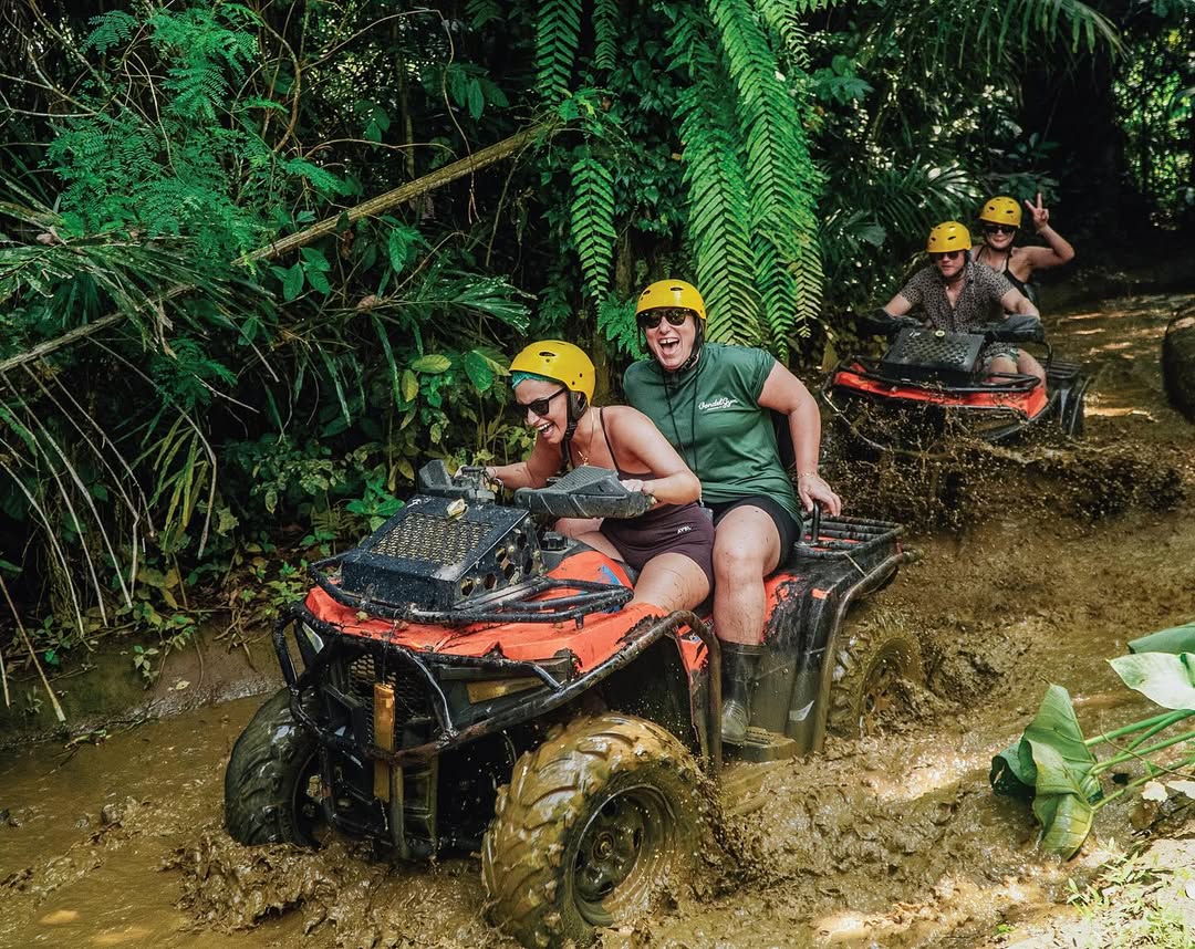 ATV 350CC ATV 350CC