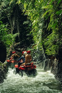 ATV Tour Ubud place picture